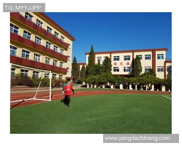 足球绘本书：带你走进绿茵场的奇妙世界与梦想之旅